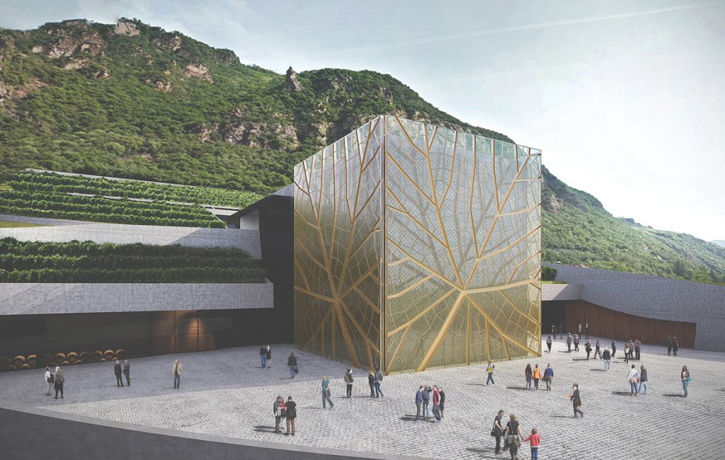Winery Cantina Bolzano, 2008-